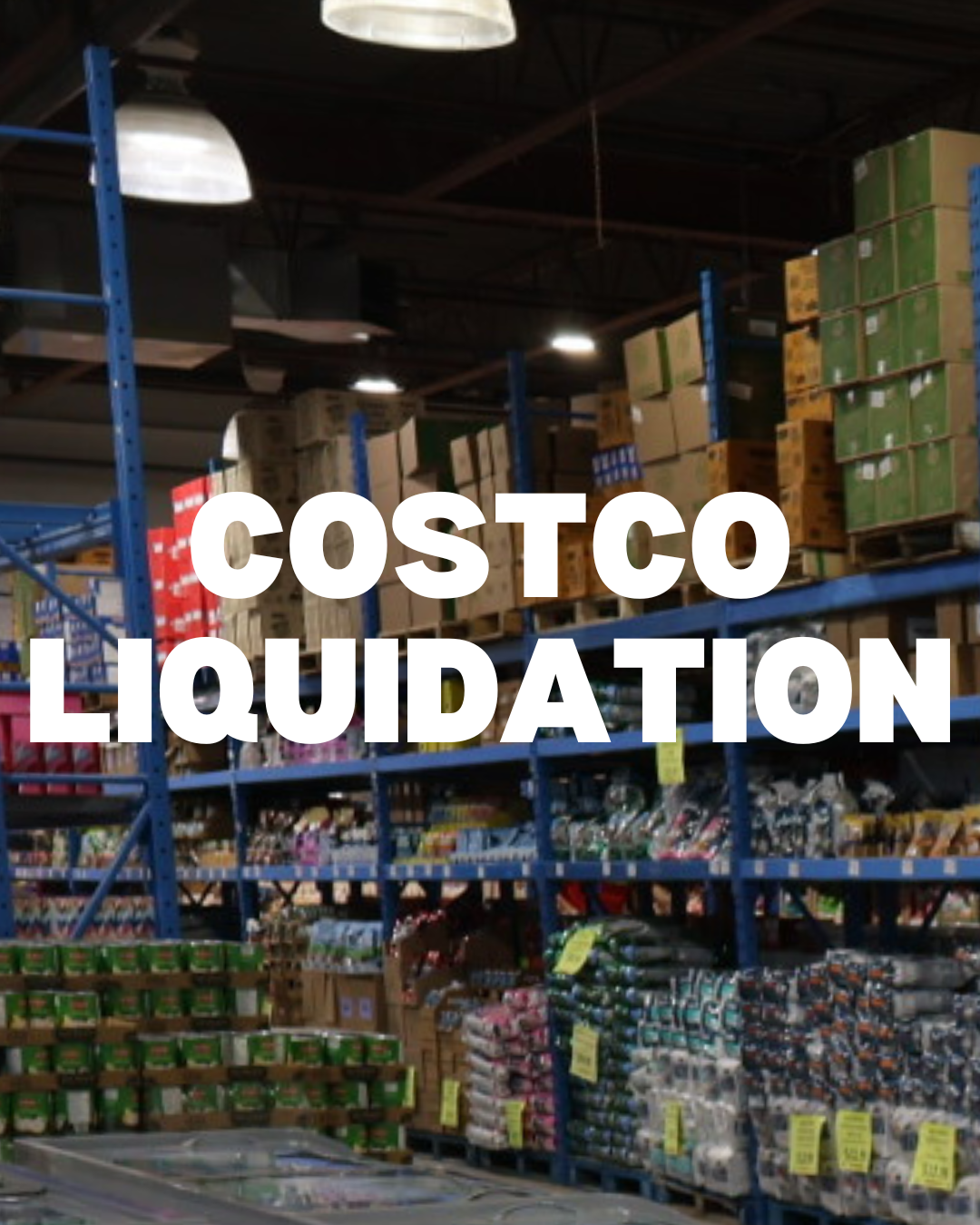 Costco Liquidation